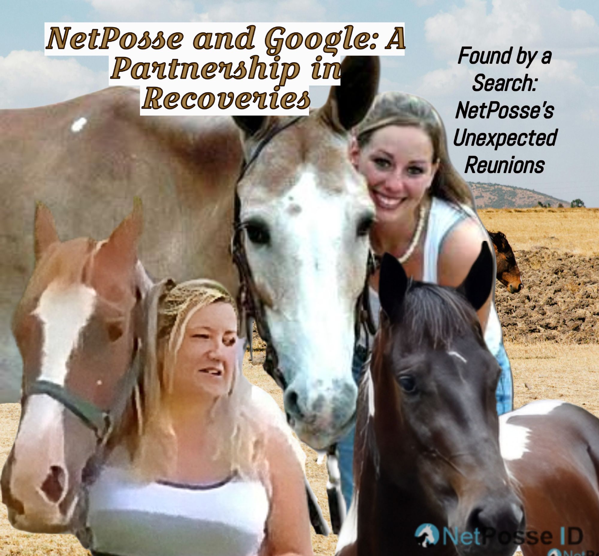 store/pages/2438/recovered_horse (1).png